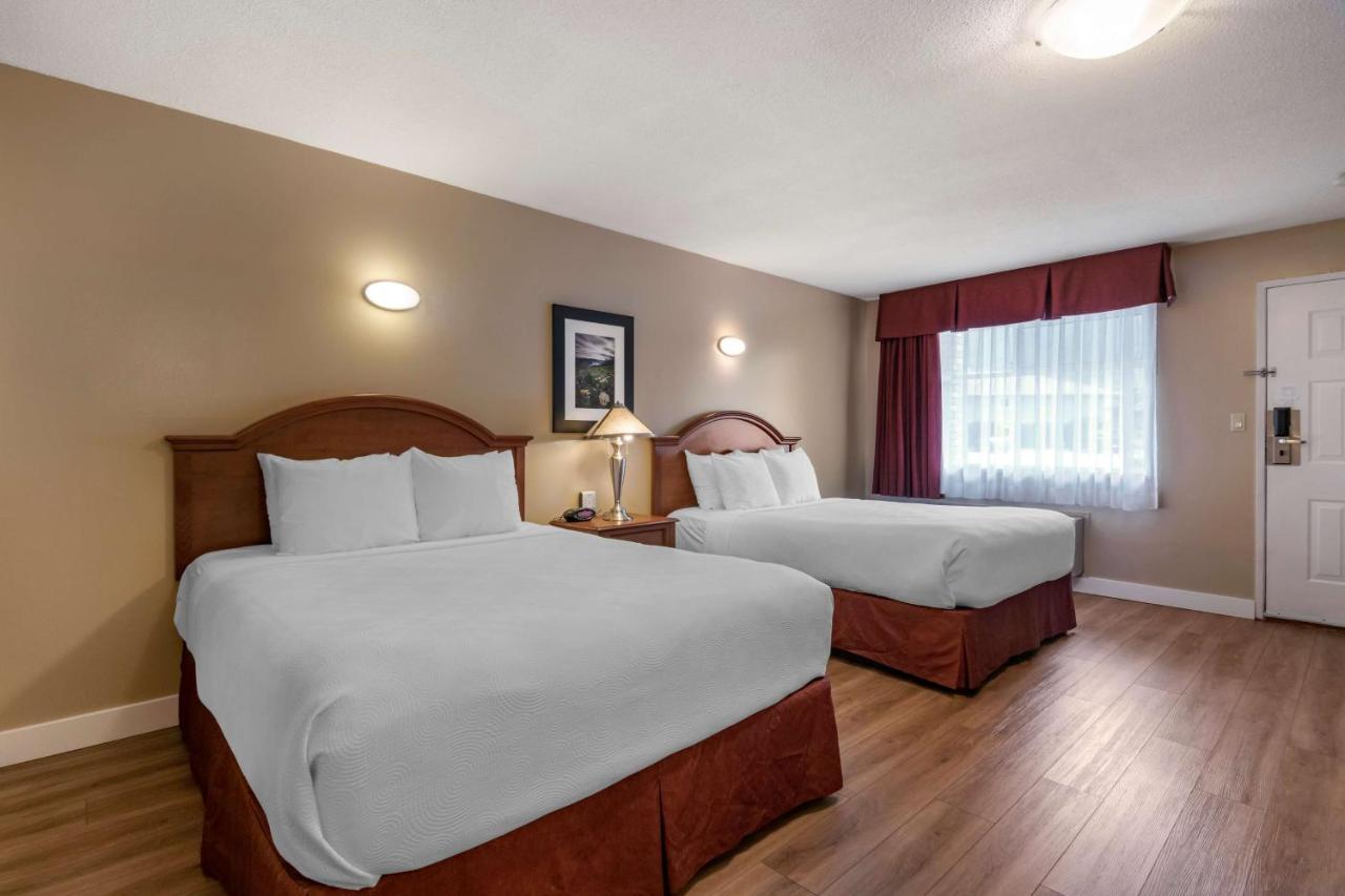 Best Western Sicamous Inn Extérieur photo